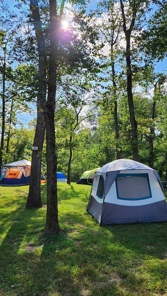 Several tents are set up on green grass in a sunny, wooded area. Sunlight filters through the trees, casting light and shadows across the campsite. The sky is partly cloudy and blue.