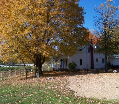 A white farmhouse sits under large autumn trees with golden leaves, surrounded by a white fence and a yard covered in fallen leaves. The sky is clear and blue.