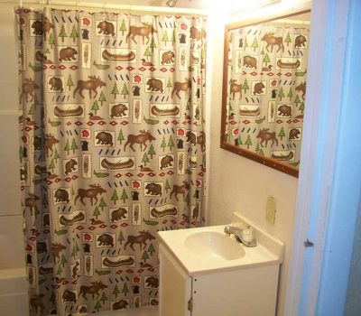 A small bathroom with a white sink and vanity, a wall mirror, and a bathtub with a shower curtain decorated with moose, bears, trees, and canoes in earthy colors. The lighting is warm and bright.
