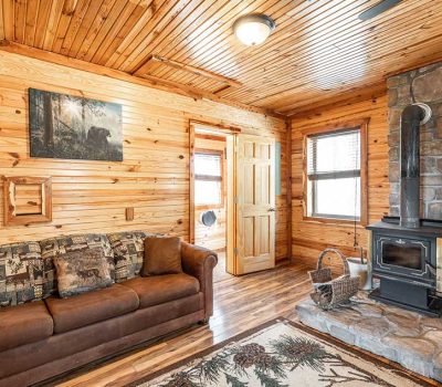 A cozy cabin room with wood-paneled walls and ceiling, a brown couch with patterned pillows, a stone fireplace with a wood stove, and a rug on a wooden floor. Sunlight streams through two windows.
