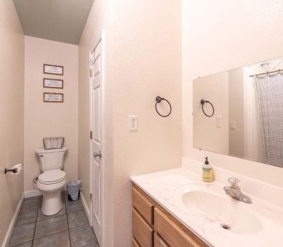 A small bathroom with a white toilet, a trash can, and framed wall art above the toilet. A single sink with a countertop, mirror, and soap dispenser is on the right side. The floors are tiled, and the shower is in the back.