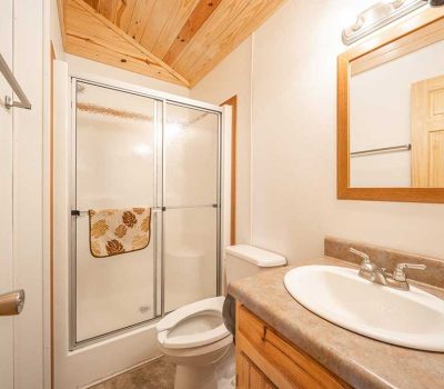 A small bathroom with a wood-paneled ceiling, a shower with sliding glass doors, a toilet, a sink with a countertop, and a mirror above the sink. A leaf-patterned towel hangs on the shower door.