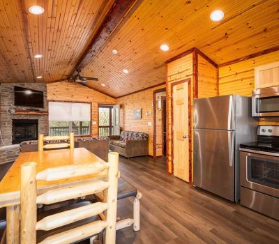 Cozy cabin kitchen and living area with wood-paneled walls and ceiling, stainless steel appliances, stone fireplace, dining table with log chairs, and a sofa near large windows letting in natural light.