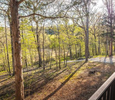A view from a deck overlooking a sunlit forest with tall, leafing trees and patches of sunlight on the ground in early spring.