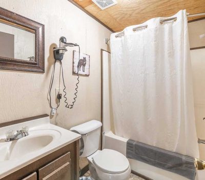 Small bathroom with a sink and vanity, wall-mounted mirror, toilet, and shower with a white curtain. A towel hangs over the bathtub, and a hair dryer is mounted on the wall next to a horse picture.