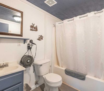 A small bathroom with a blue vanity, white sink, wall-mounted mirror, toilet, and a bathtub with a white shower curtain. Rustic moose and forest wall decor are above the toilet, and a hair dryer is mounted on the wall.